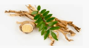 testosterone supplements for men